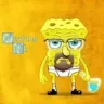 waltersponge