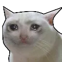 Crycat