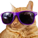 Coolcat coolcat Discord Emoji