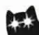 cat_nani