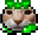 goombruh