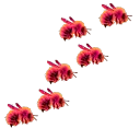 Wylde_Honeybees