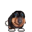 ERMMDANCEBUTSLOW ERMMDANCEBUTSLOW