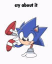 soniccryaboutit Discord Emoji