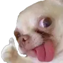 good_giwawa