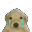 emoji_71