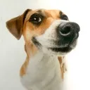 emoji_11 emoji_11