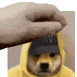 petReemo