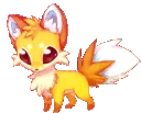 foxcute