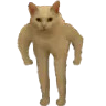 musclecat Discord emoji