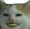 cat_e_smile