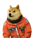 dogbreedunitedstatesdogeastronau Discord Emoji