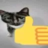 thumbsupcat