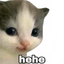 heheCat2