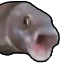 pog_fish_rotated pog_fish_rotated