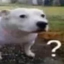 whar