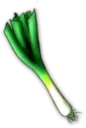 leek