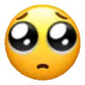 pleading