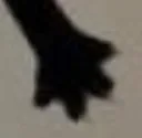 peet