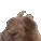 rabbitJAM