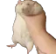 help