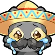kaciedCry