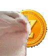 catzg