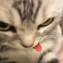 heheh