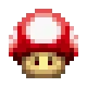 mushroom mushroom