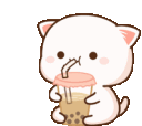 drinkingboba