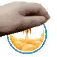 serverpetSE