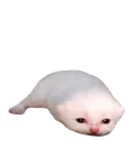 Sploink Sploink