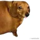 nice