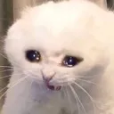 aaa