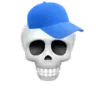 2_skullcap