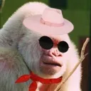 boda_monke