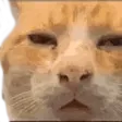 ayyybuHUH ayyybuHUH
