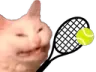 cattotennis Discord Emoji