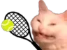 cattotennis2 Discord Emoji