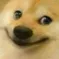 doge_happy