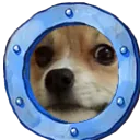 doggiepeek