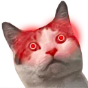 puppycatAwoo Discord Emoji