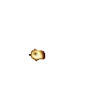gif_explosionepicalooooooooool