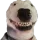 pissboy