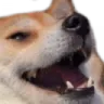 shiblaugh