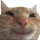 heh