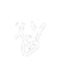 ily
