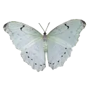 emoji_8