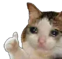 emoji_22
