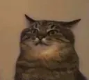 CatHmm